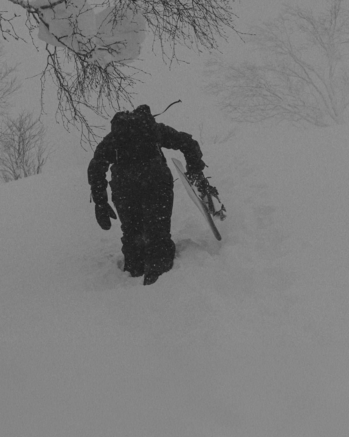 Experiment 2026 | Powder Snowboard – United Shapes